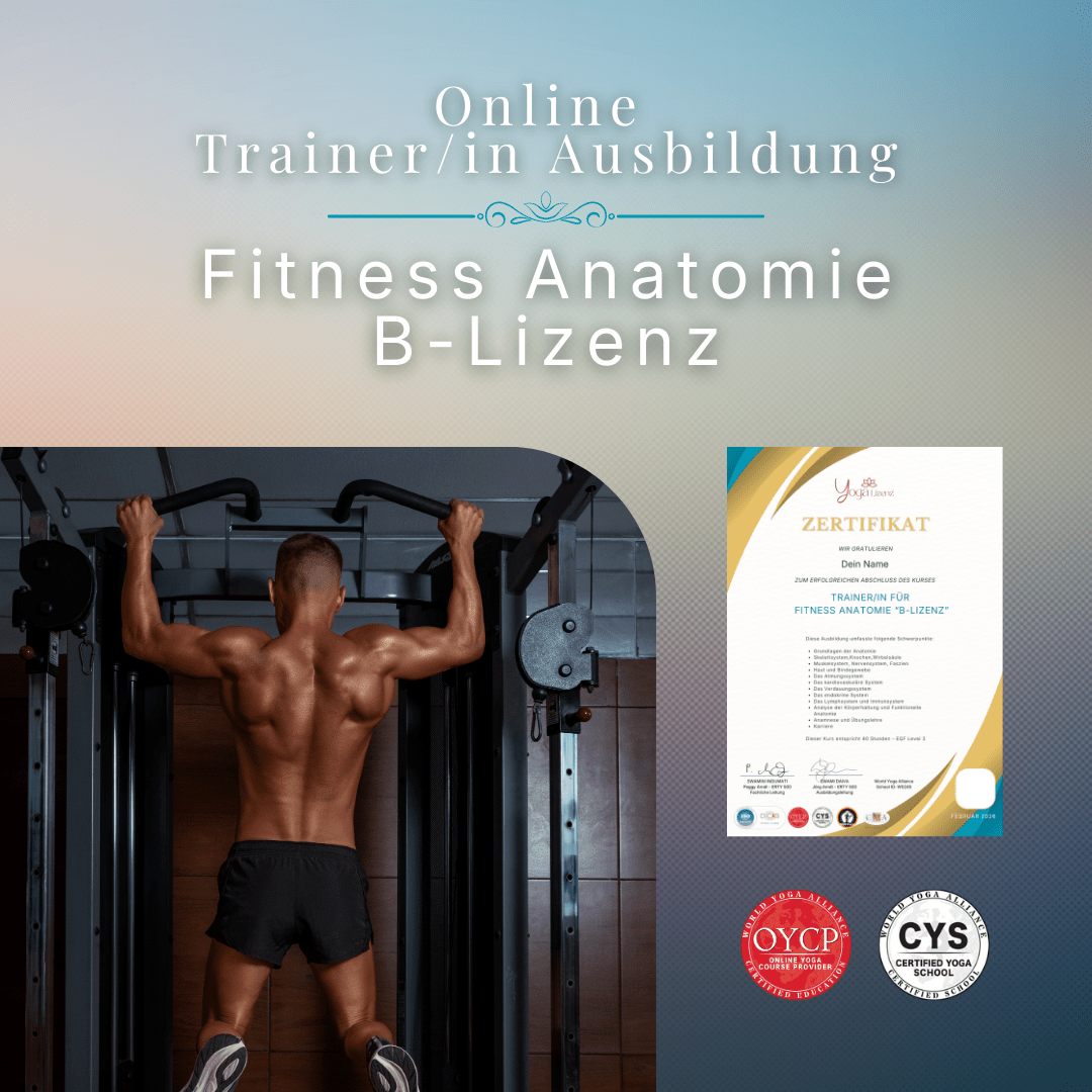 Trainer/in für Fitness Anatomie "B - Lizenz" - YogaLizenz.de
