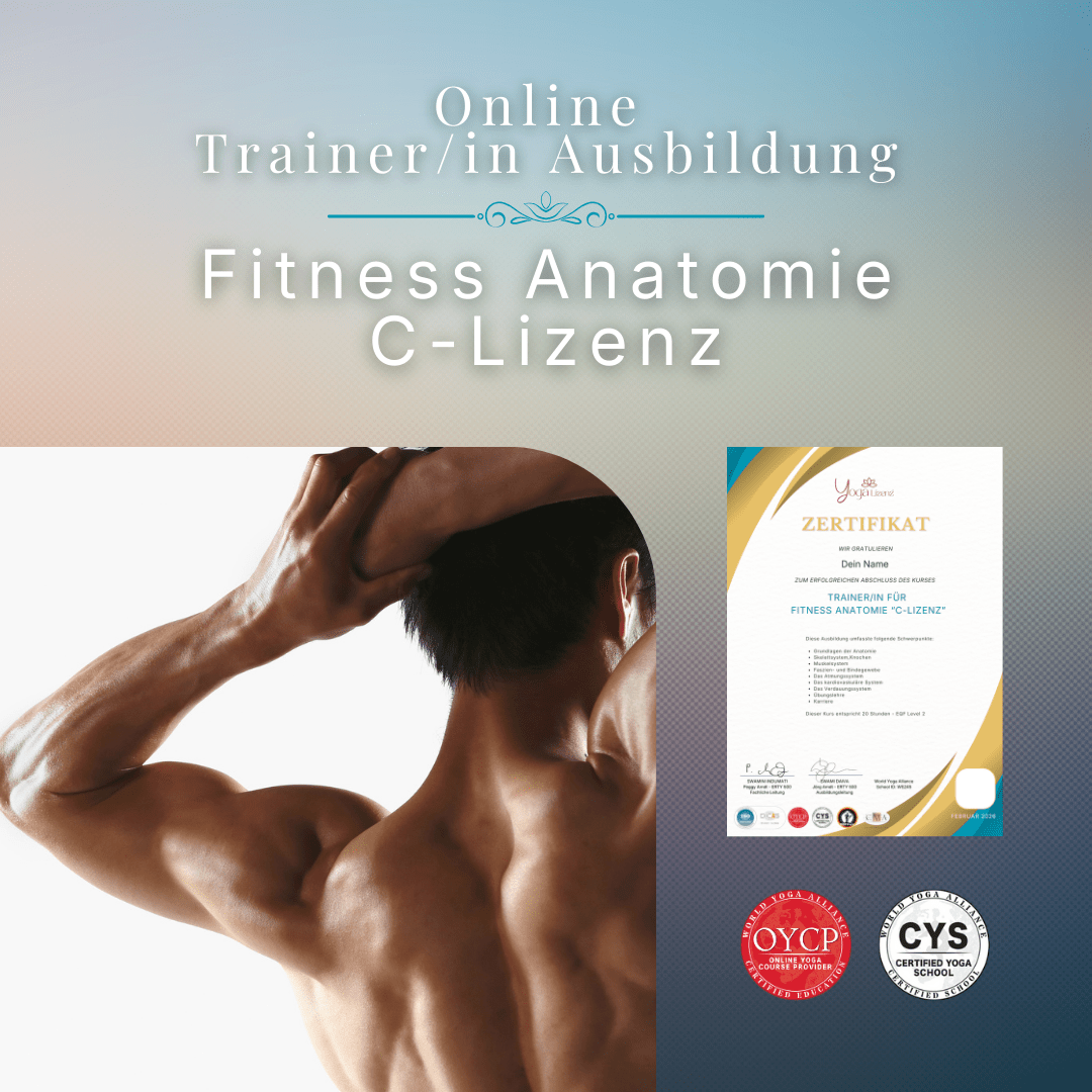 Trainer/in für Fitness Anatomie "C - Lizenz" - YogaLizenz.de