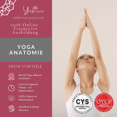 Trainer/in für Yoga Anatomie - YogaLizenz.de