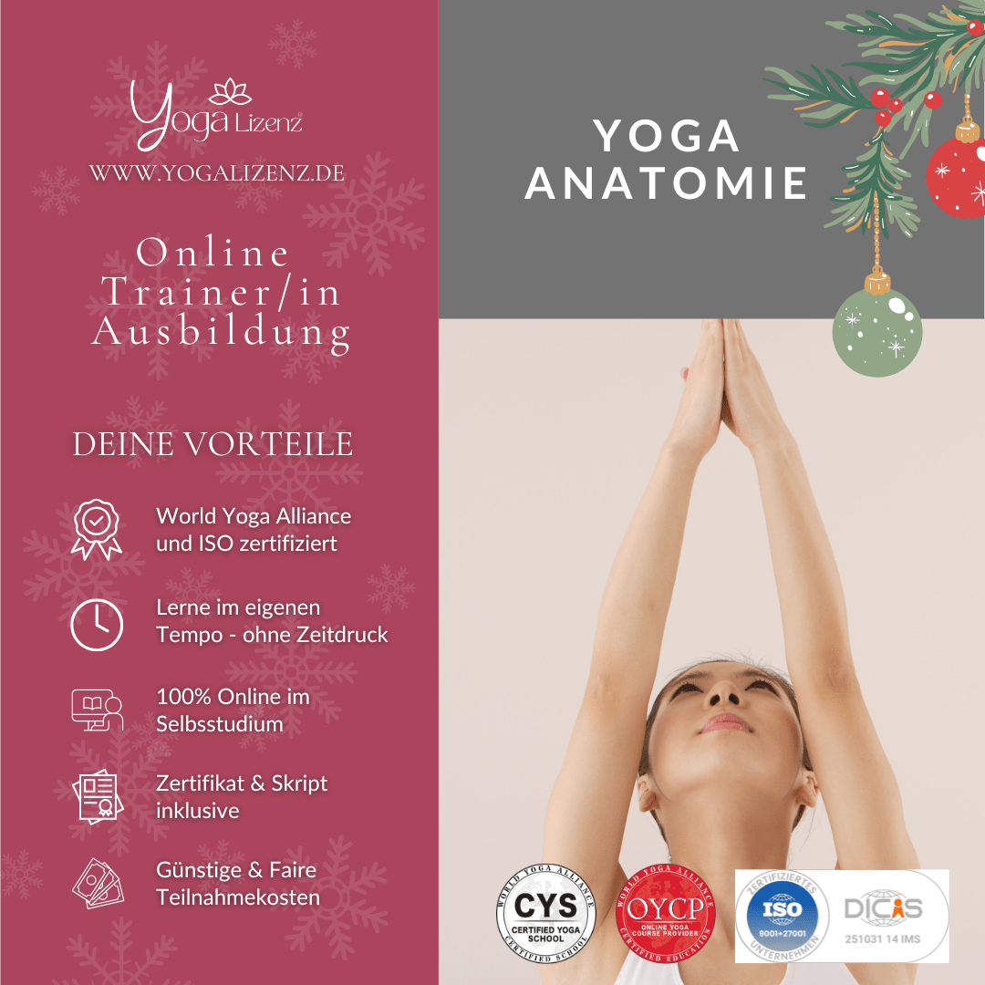 Trainer/in für Yoga Anatomie - YogaLizenz.de