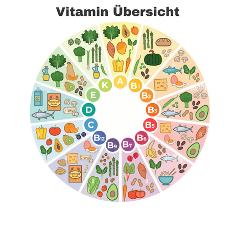 Nahrungsergänzungsmittel: Sinnvolle Ergänzung oder unnötiger Trend? 💊🤔 - YogaLizenz.de