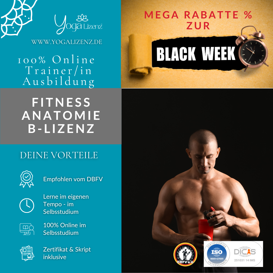 Trainer/in für Fitness Anatomie "B-Lizenz"