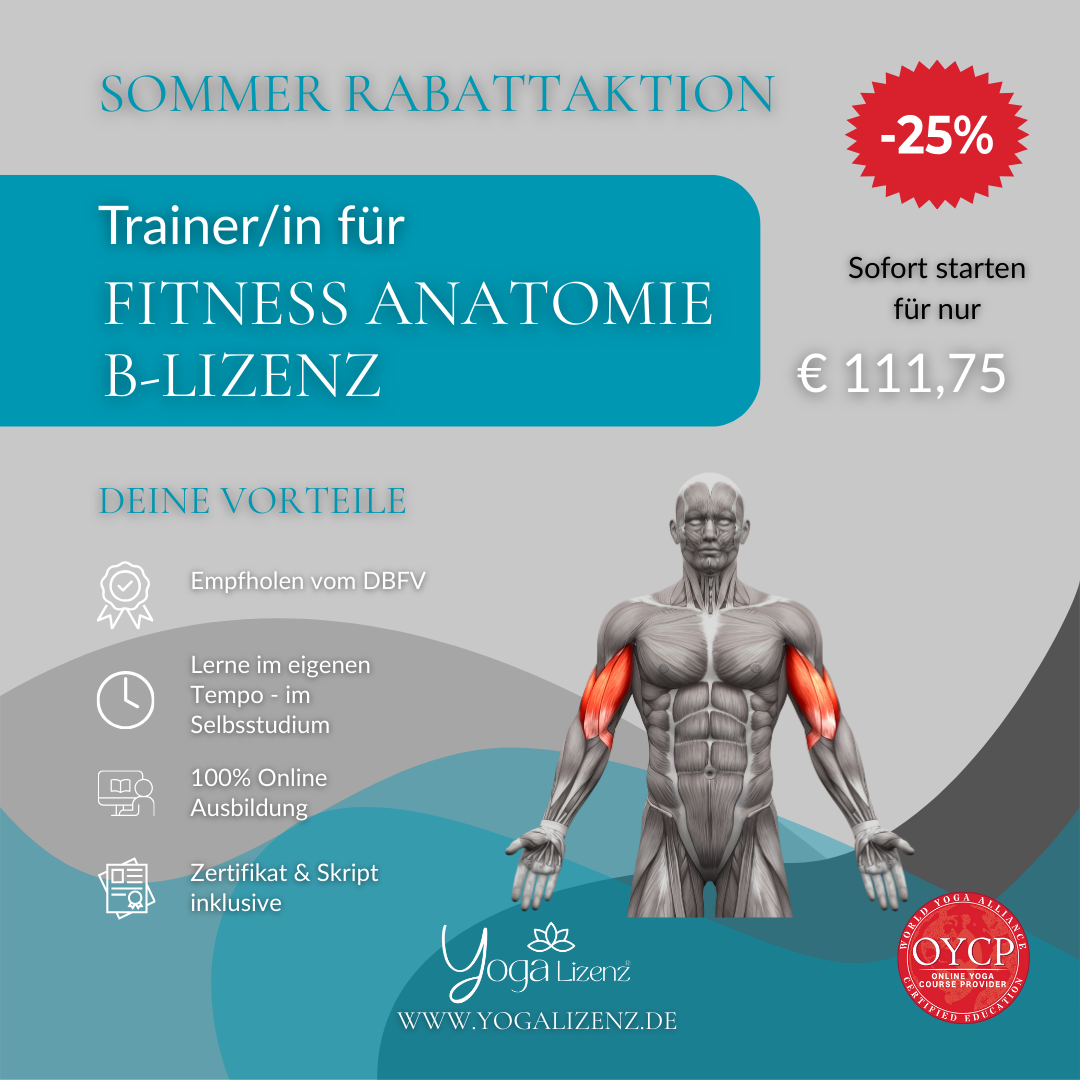Trainer/in für Fitness Anatomie "B-Lizenz"