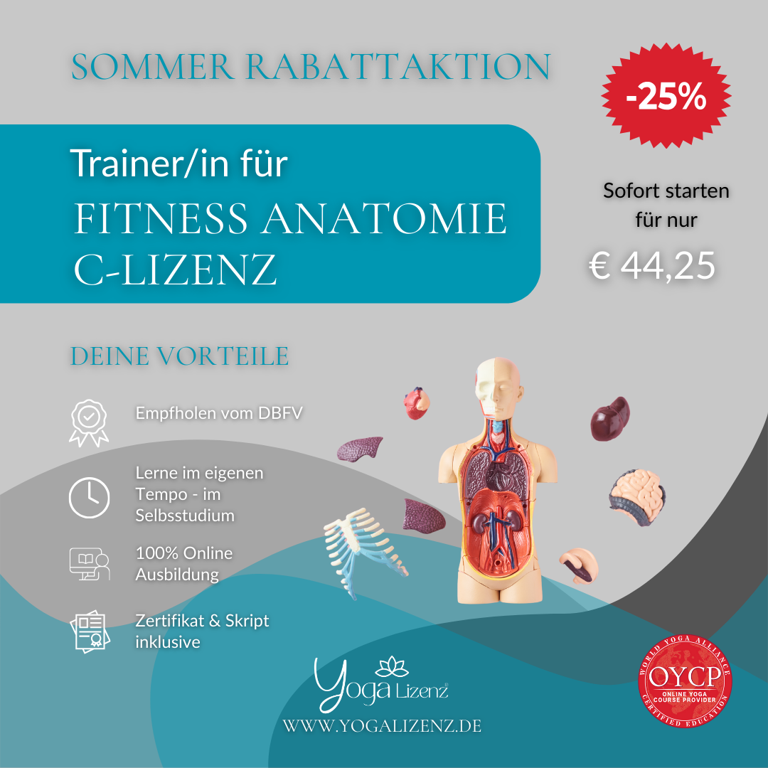 Trainer/in für Fitness Anatomie "C-Lizenz"