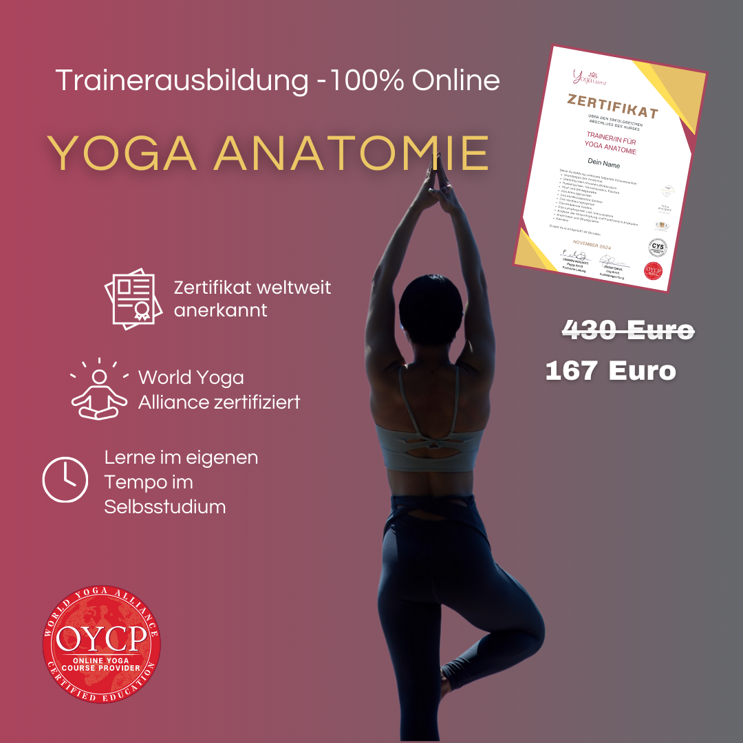 Trainer/in für Yoga Anatomie