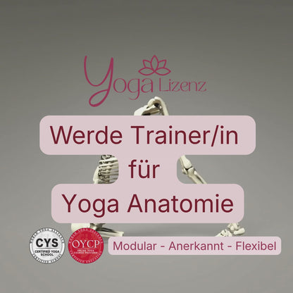Trainer/in für Yoga Anatomie