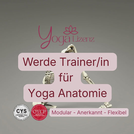 Trainer/in für Yoga Anatomie image 2
