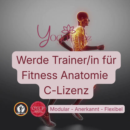 Trainer/in für Fitness Anatomie "C-Lizenz"