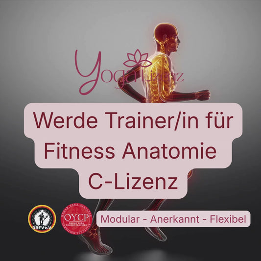 Trainer/in für Fitness Anatomie "C-Lizenz" image 2