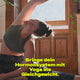 Trainer/in für Hormon Yoga