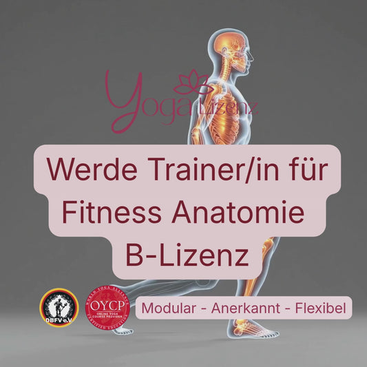 Trainer/in für Fitness Anatomie "B-Lizenz" image 2