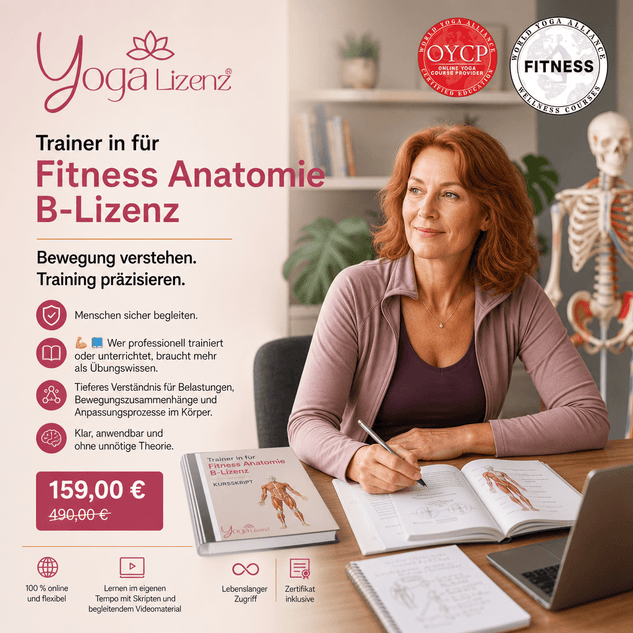 Trainer/in für Fitness Anatomie "B-Lizenz" - YogaLizenz.de