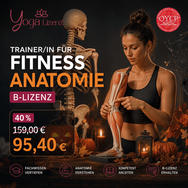 Trainer/in für Fitness Anatomie "B-Lizenz" - YogaLizenz.de
