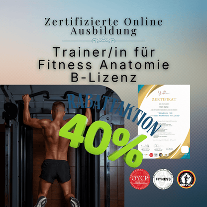 Trainer/in für Fitness Anatomie "B - Lizenz" - YogaLizenz.de