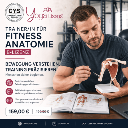 Trainer/in für Fitness Anatomie "B-Lizenz" - YogaLizenz.de