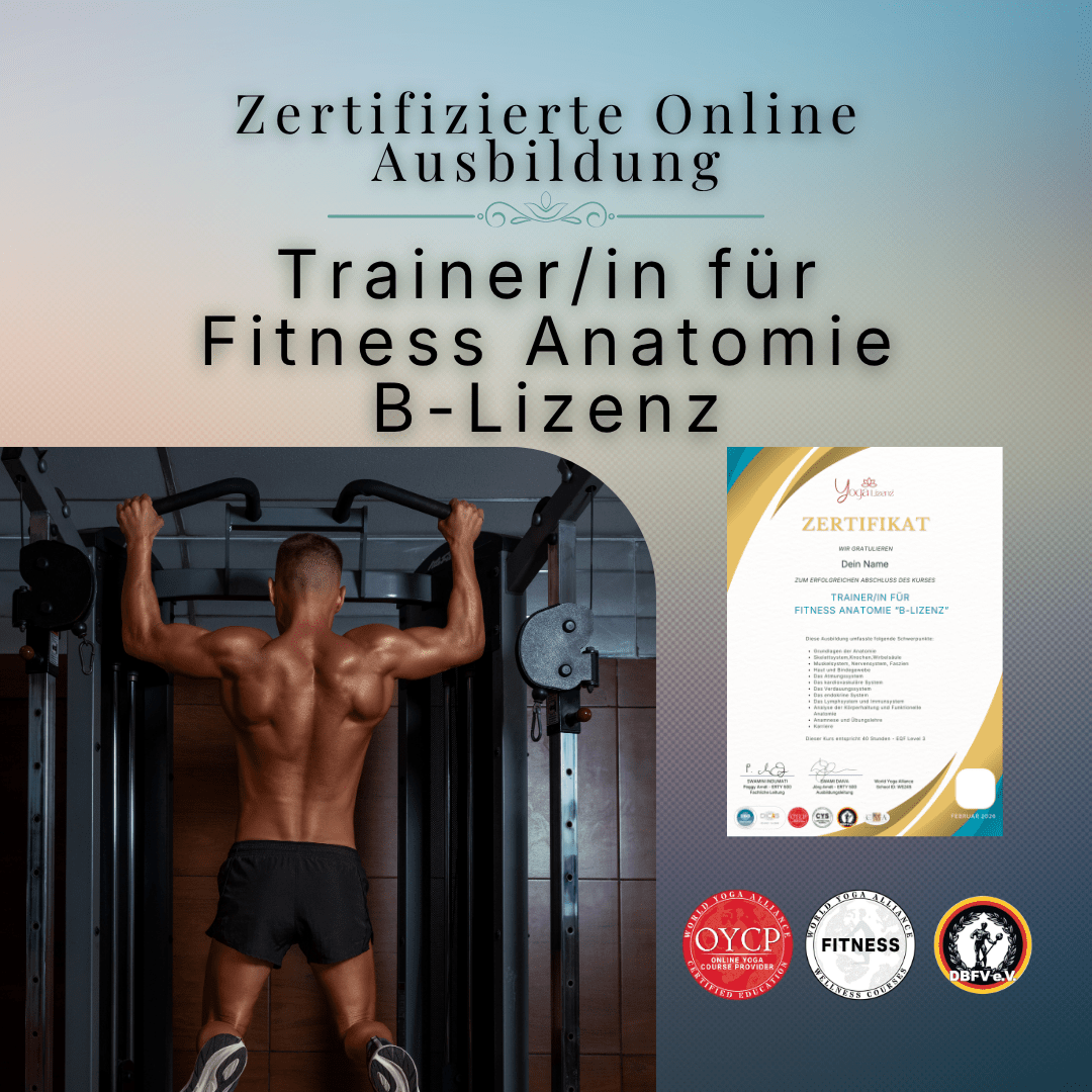 Trainer/in für Fitness Anatomie "B - Lizenz" - YogaLizenz.de