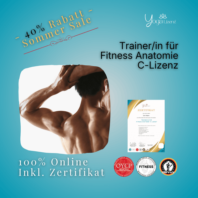 Trainer/in für Fitness Anatomie "C-Lizenz" - YogaLizenz.de