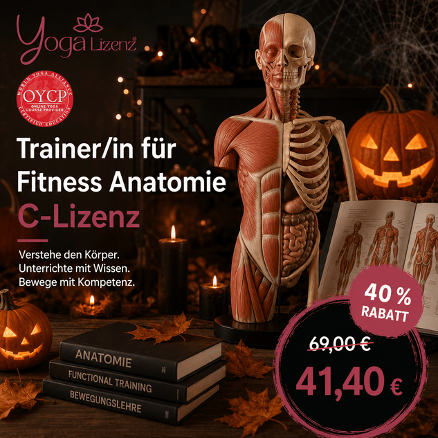 Trainer/in für Fitness Anatomie "C-Lizenz" - YogaLizenz.de