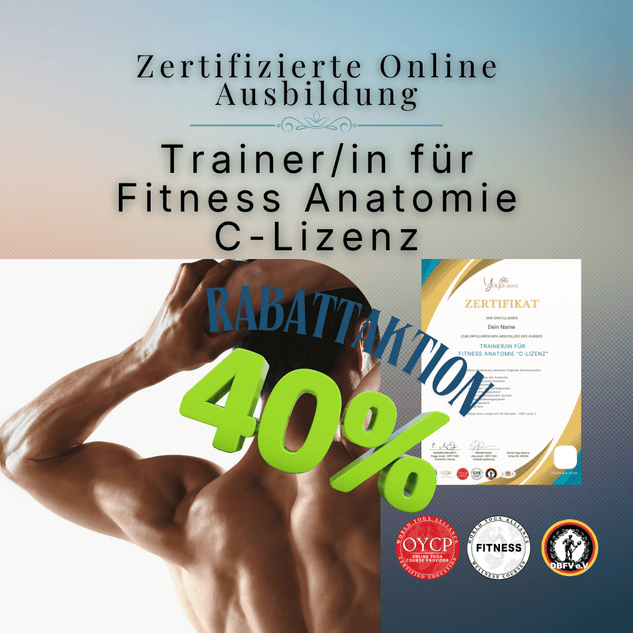 Trainer/in für Fitness Anatomie "C - Lizenz" - YogaLizenz.de