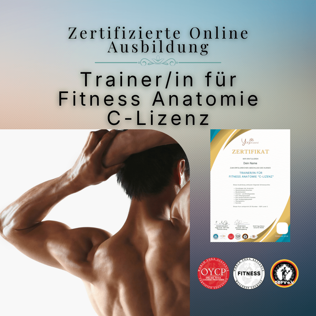 Trainer/in für Fitness Anatomie "C - Lizenz" - YogaLizenz.de