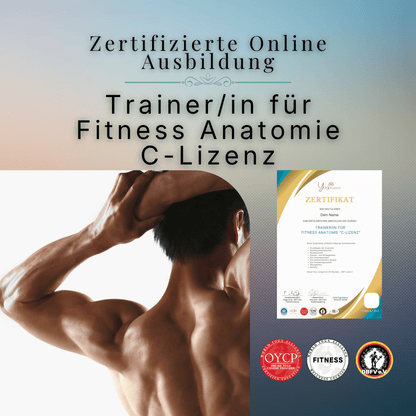 Trainer/in für Fitness Anatomie "C - Lizenz" - YogaLizenz.de