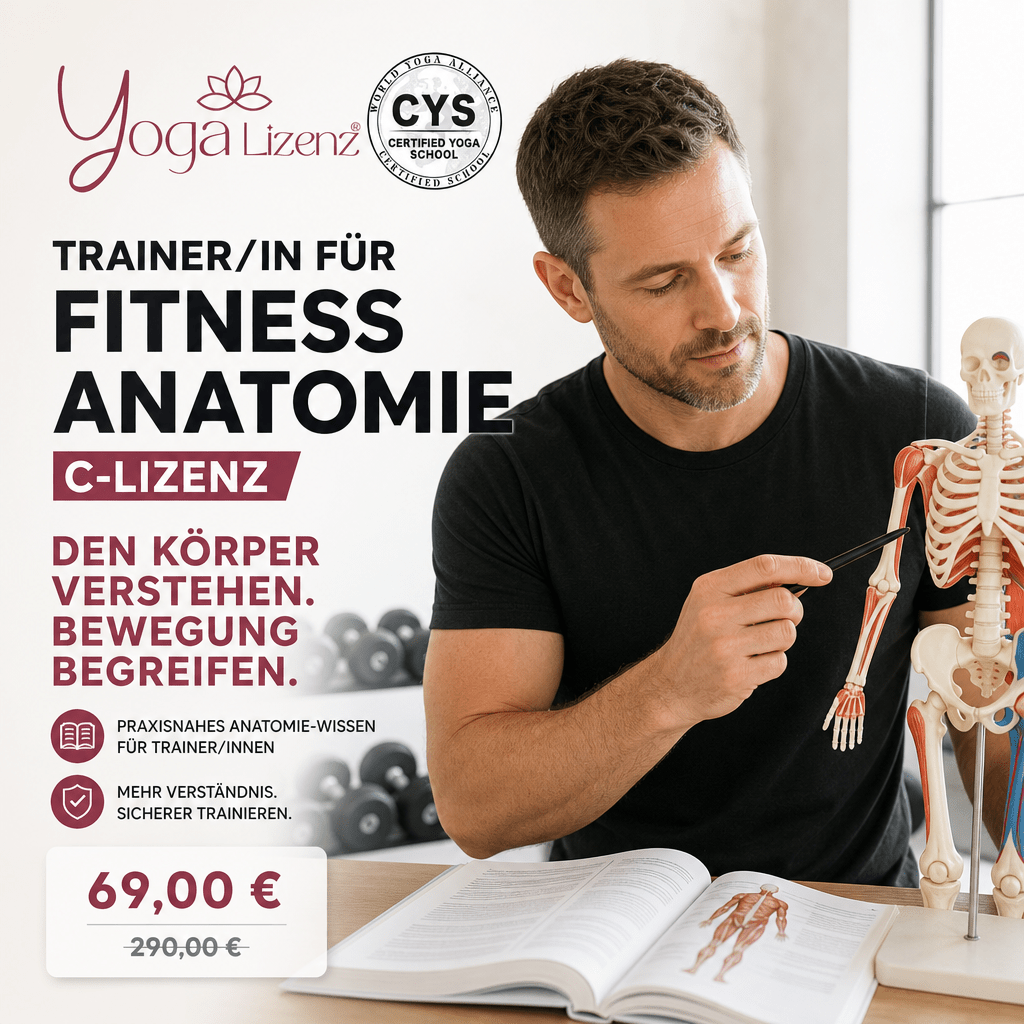 Trainer/in für Fitness Anatomie "C-Lizenz" - YogaLizenz.de