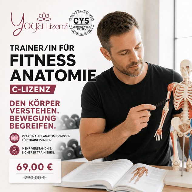 Trainer/in für Fitness Anatomie "C-Lizenz" - YogaLizenz.de
