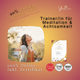 Trainer/in für Meditation und Achtsamkeit - YogaLizenz.de