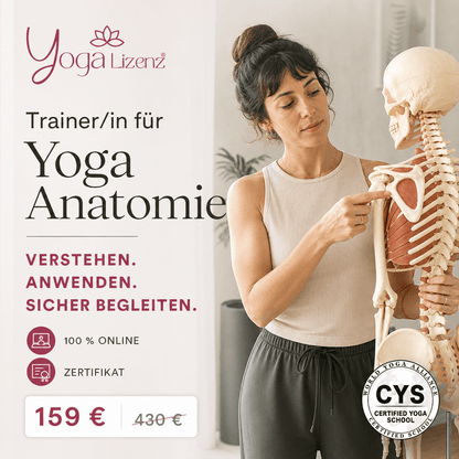 Trainer/in für Yoga Anatomie - YogaLizenz.de