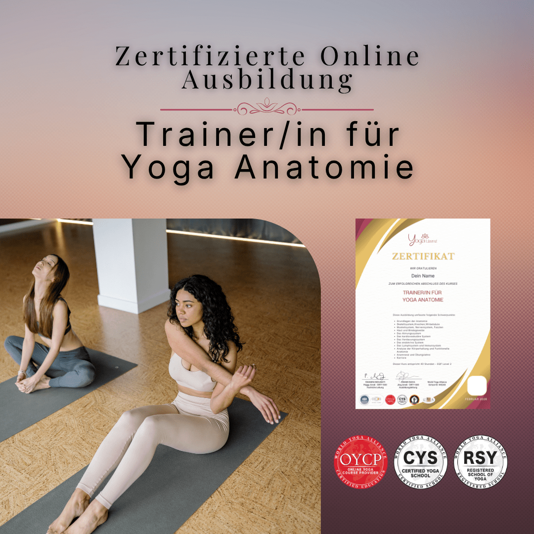 Trainer/in für Yoga Anatomie - YogaLizenz.de