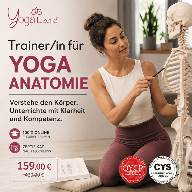 Trainer/in für Yoga Anatomie - YogaLizenz.de