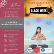 Trainer/in für Chakren - Harmonisierung - YogaLizenz.de