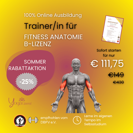 Trainer/in für Fitness Anatomie "B - Lizenz" - YogaLizenz.de