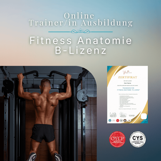 Trainer/in für Fitness Anatomie "B - Lizenz" - YogaLizenz.de