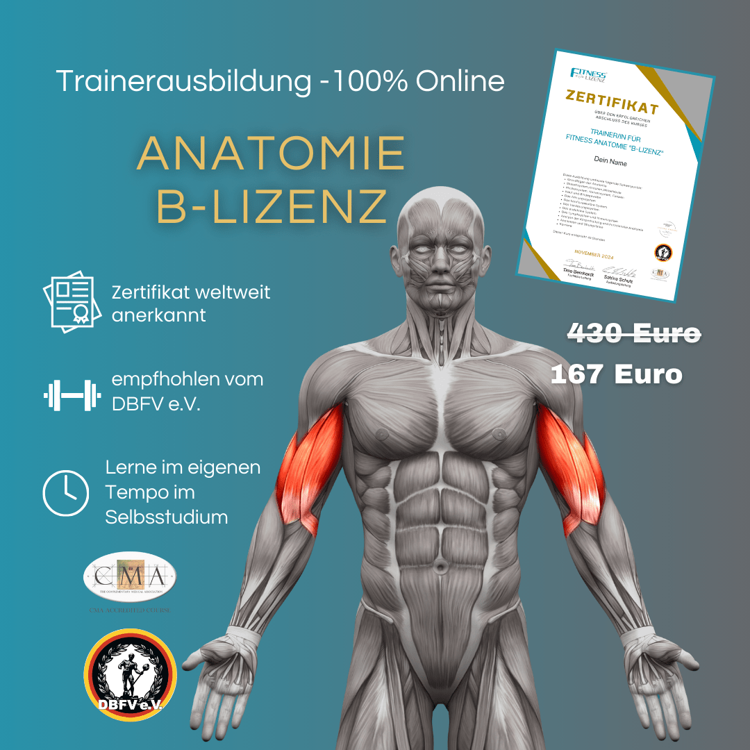 Trainer/in für Fitness Anatomie "B - Lizenz" - YogaLizenz.de