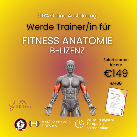 Trainer/in für Fitness Anatomie "B - Lizenz" - YogaLizenz.de