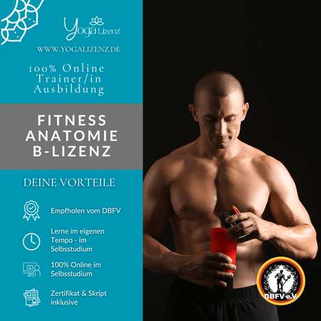Trainer/in für Fitness Anatomie "B - Lizenz" - YogaLizenz.de