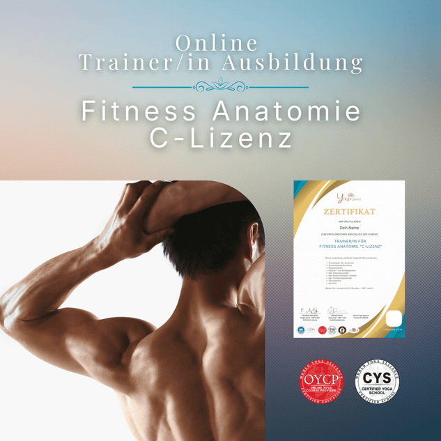 Trainer/in für Fitness Anatomie "C - Lizenz" - YogaLizenz.de