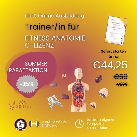 Trainer/in für Fitness Anatomie "C - Lizenz" - YogaLizenz.de