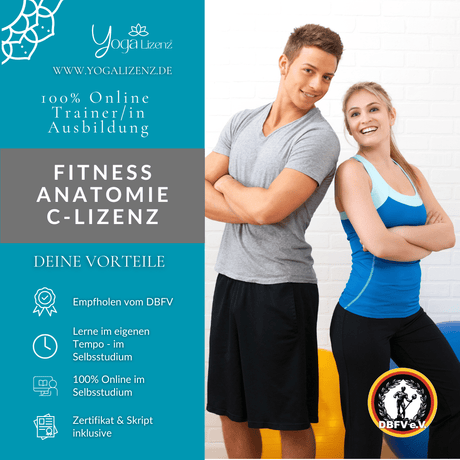 Trainer/in für Fitness Anatomie "C - Lizenz" - YogaLizenz.de
