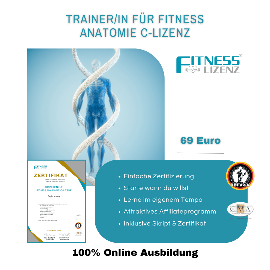 Trainer/in für Fitness Anatomie "C - Lizenz" - YogaLizenz.de