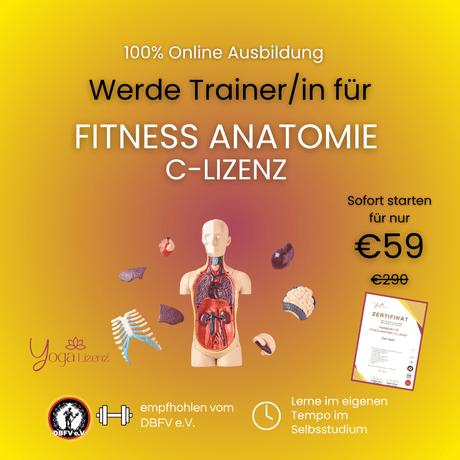 Trainer/in für Fitness Anatomie "C - Lizenz" - YogaLizenz.de