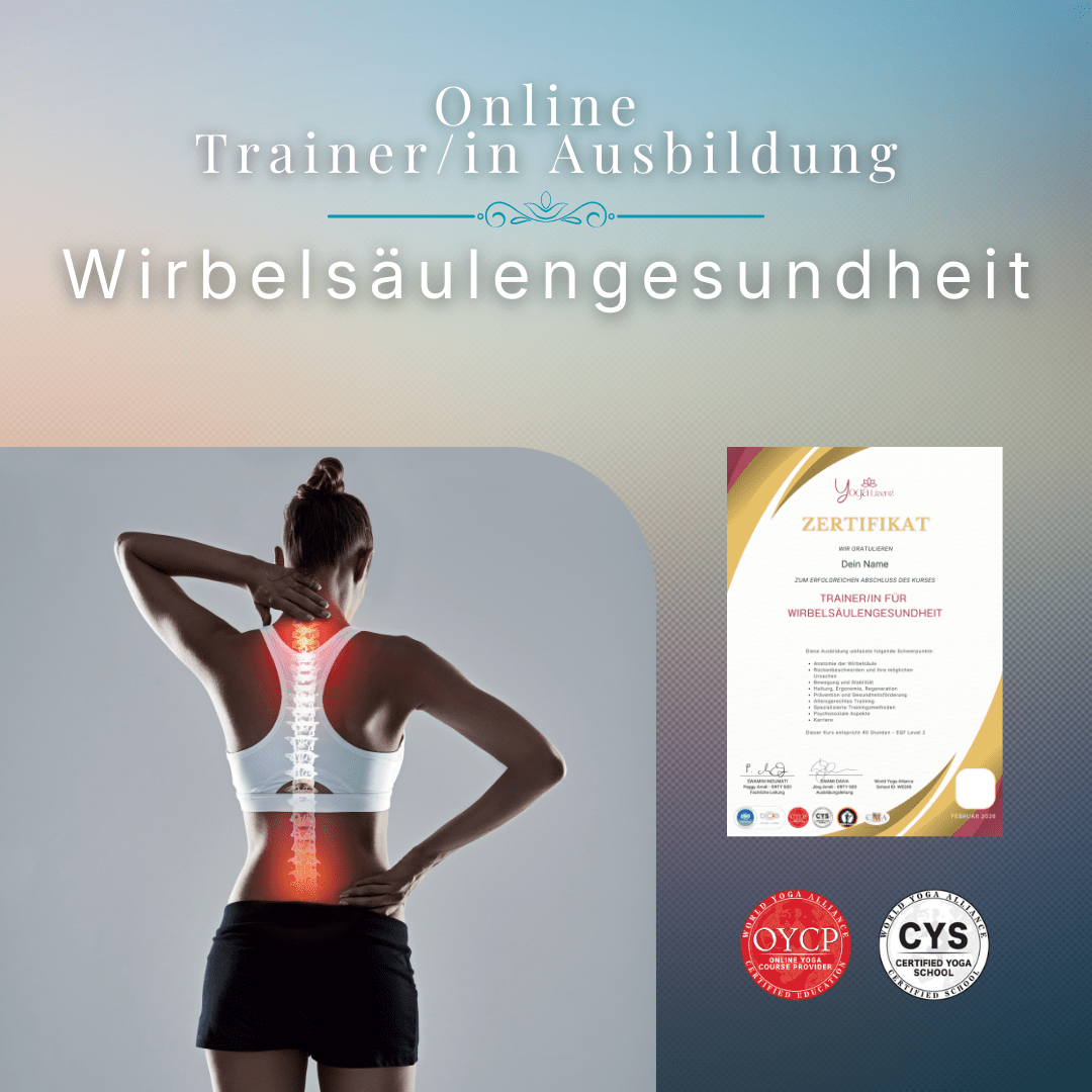 Trainer/in für Wirbelsäulengesundheit - YogaLizenz.de