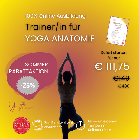Trainer/in für Yoga Anatomie - YogaLizenz.de
