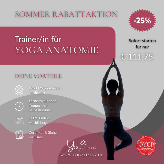 Trainer/in für Yoga Anatomie - YogaLizenz.de