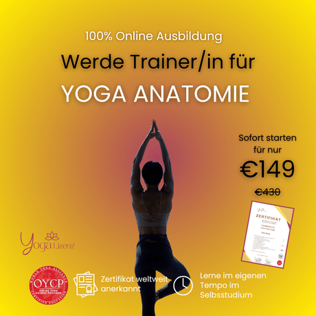 Trainer/in für Yoga Anatomie - YogaLizenz.de