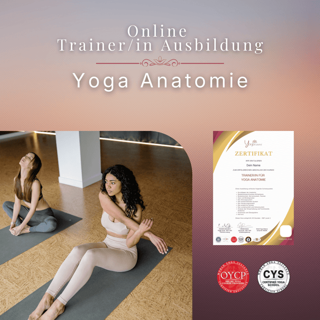 Trainer/in für Yoga Anatomie - YogaLizenz.de