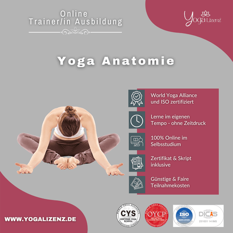 Trainer/in für Yoga Anatomie - YogaLizenz.de