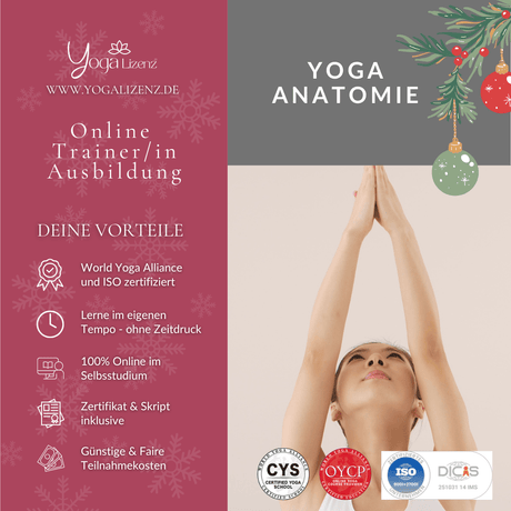 Trainer/in für Yoga Anatomie - YogaLizenz.de