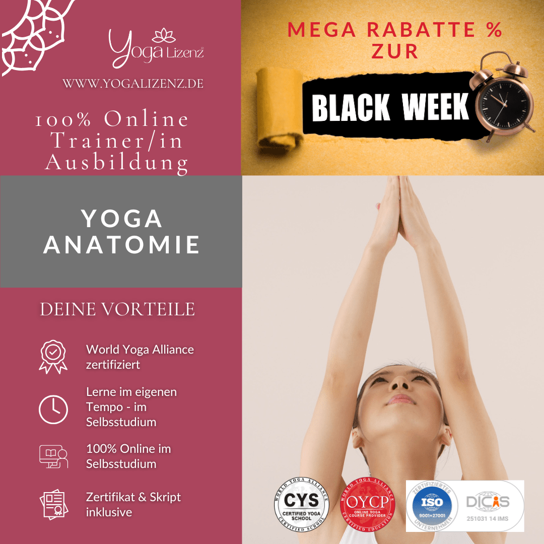 Trainer/in für Yoga Anatomie - YogaLizenz.de
